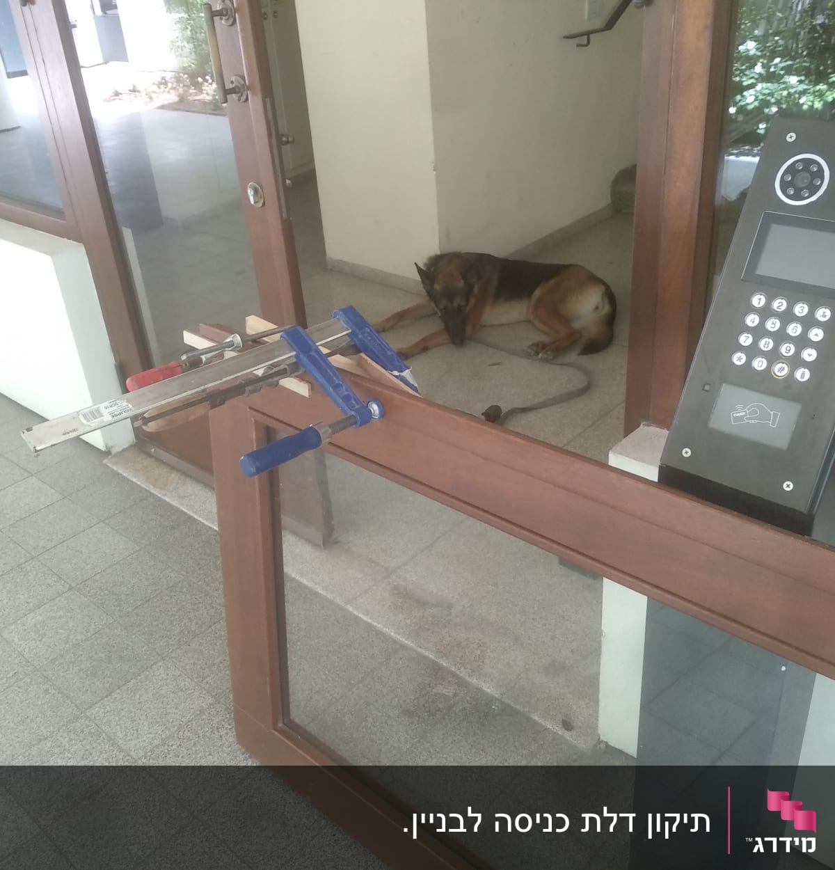 מסגרת עץ עם מהדקים לעבודת נגרות